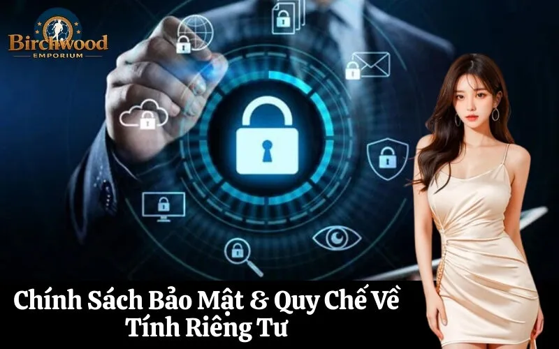 Chính Sách Bảo Mật & Quy Chế Về Tính Riêng Tư